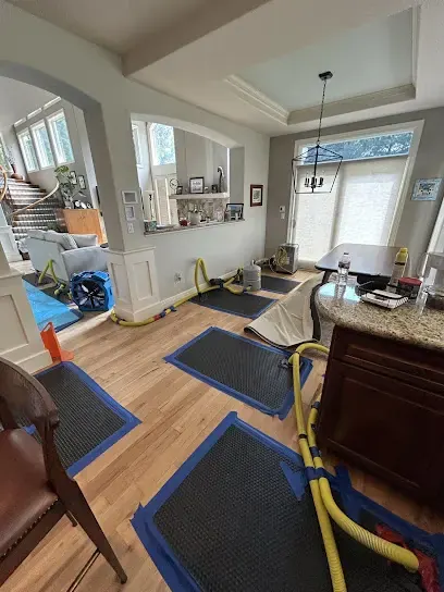 Drying mats, hoses and an air mover pulling water out of a hardwood floor in a Golden home