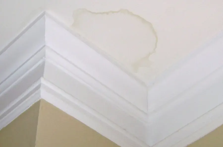 Brown water stain spreading across a ceiling above the crown molding on an outside wall