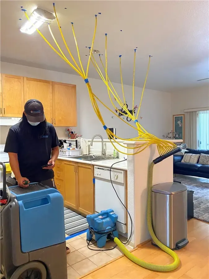Technician checking readings while injection hoses dry a kitchen wall cavity